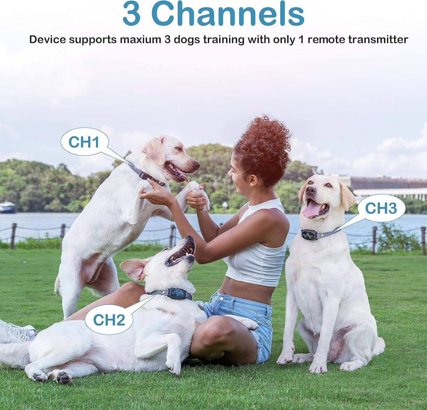 3 Channels  
Device supports maximum 3 dogs training with only 1 remote transmitter  
CH1  
CH2  
CH3