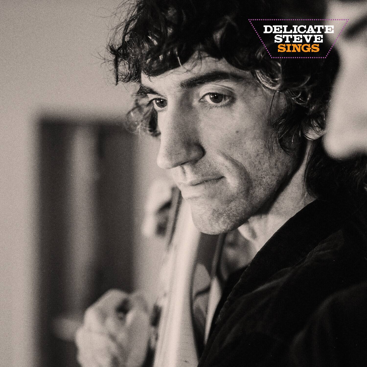 DELICATE STEVE SINGS