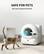 SAFE FOR PETS Non-toxic & Natural Formula PETCIT
