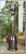 Angle Standard. Fire Sense - 47,000 BTU Deluxe Patio Heater - Bronze.