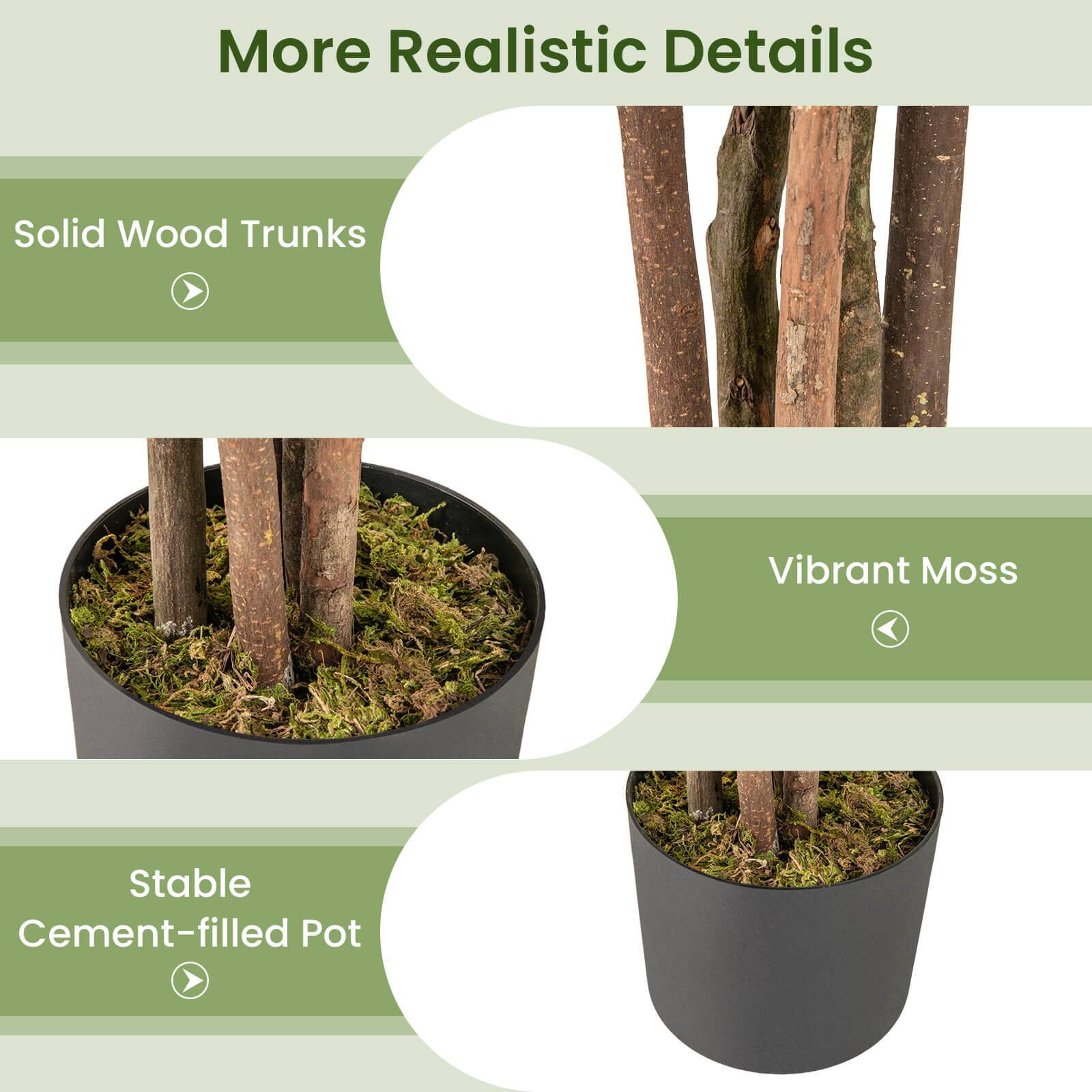 More Realistic Details

- Solid Wood Trunks
- Vibrant Moss
- Stable Cement-filled Pot
