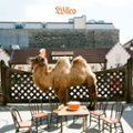 Front Standard. Wilco (The Album) [LP/CD] [LP] - VINYL.