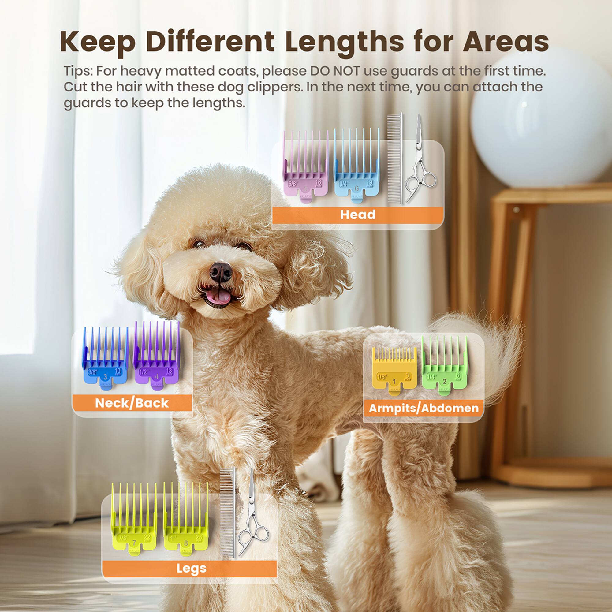 Keep Different Lengths for Areas

Tips: For heavy matted coats, please DO NOT use guards at the first time. Cut the hair with these dog clippers. In the next time, you can attach the guards to keep the lengths.

- Head
- Neck/Back
- Armpits/Abdomen
- Legs
