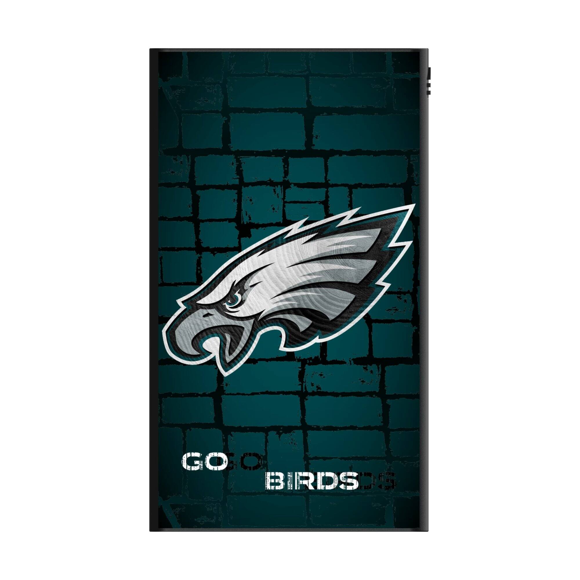 GO BIRDS