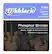 Front Standard. D'Addario - Phosphor Bronze Custom Light Acoustic Guitar Strings.