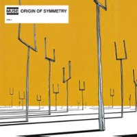 Origin of Symmetry [LP] - VINYL - Front_Original
