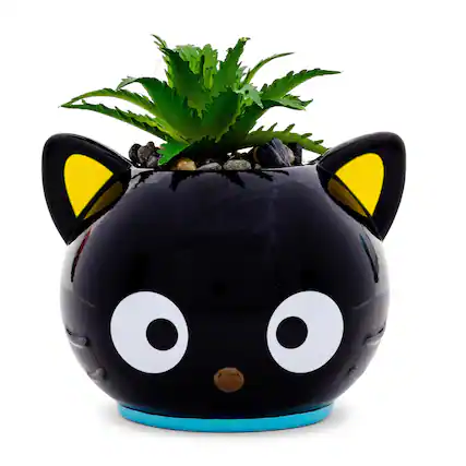Front. Silver Buffalo - Sanrio Chococat 3-Inch Ceramic Mini Planter With Artificial Succulent - Black.