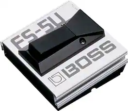 BOSS - Non-Latching Pedal Footswitch with Polarity Switch for Sustain, Tap Tempo and Momentary Pedal Control