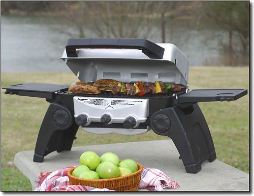 Best Char-Broil Grill 2 Express Grill Gray/Black 06401314