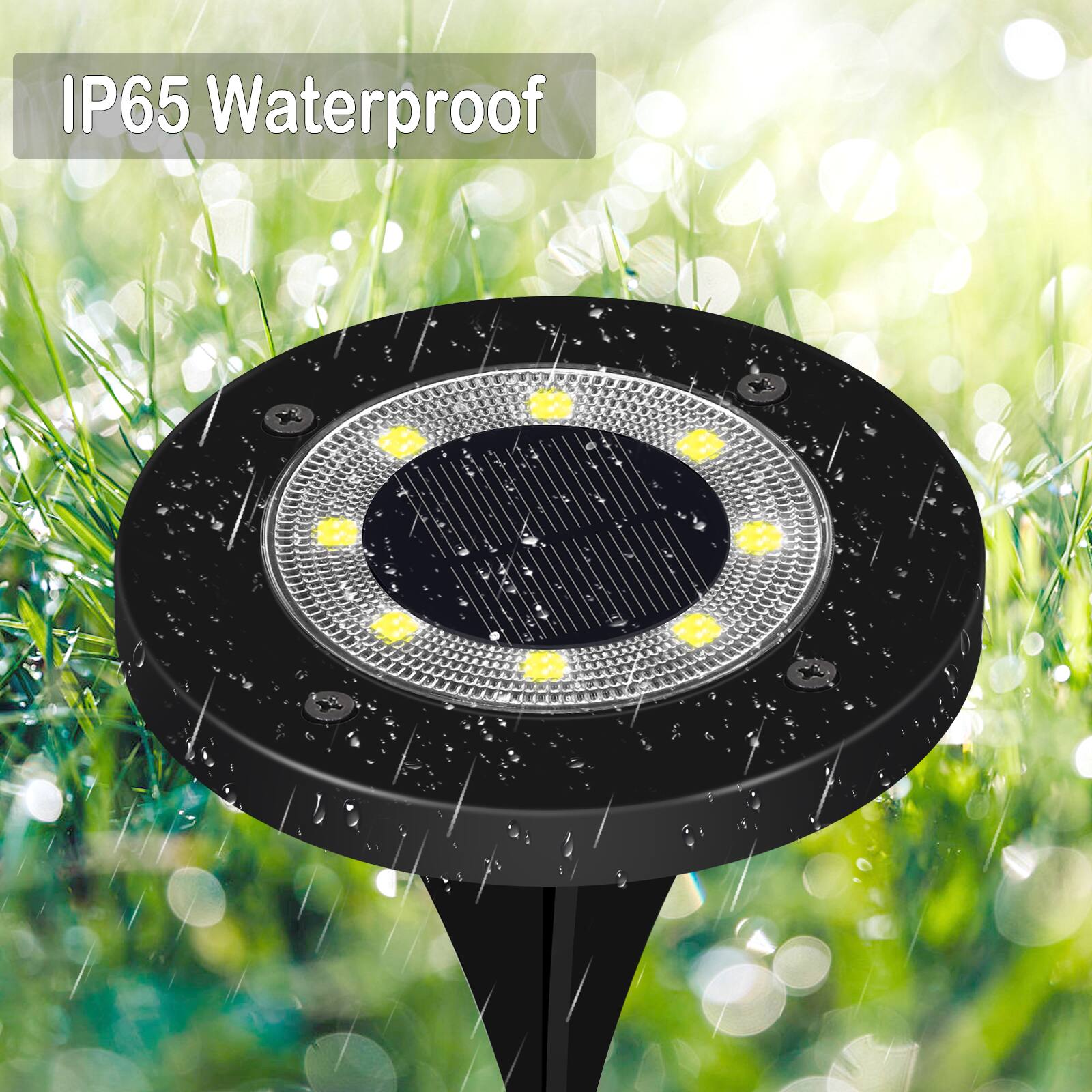 IP65 Waterproof