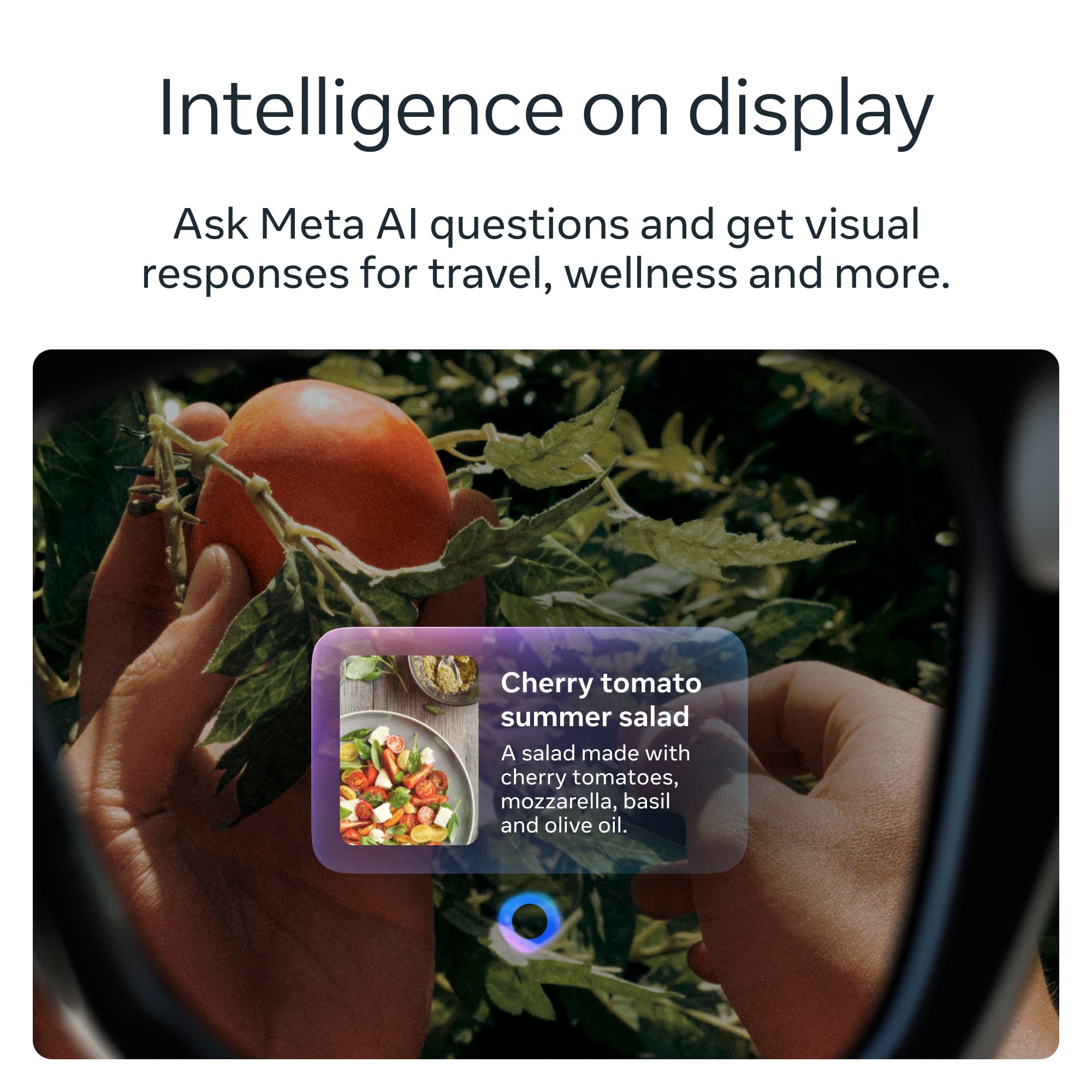Intelligence on display

Ask Meta AI questions and get visual responses for travel, wellness and more.

Cherry tomato summer salad
A salad made with cherry tomatoes, mozzarella, basil and olive oil.