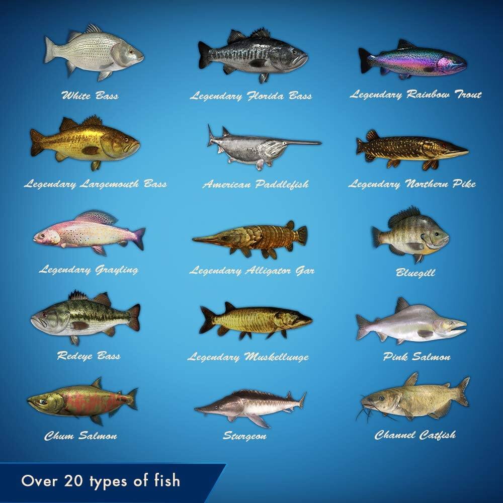 White Bass  
Legendary Florida Bass  
Legendary Rainbow Trout  
Legendary Largemouth Bass  
American Paddlefish  
Legendary Northern Pike  
Legendary Grayling  
Legendary Alligator Gar  
Bluegill  
Redeye Bass  
Legendary Muskellunge  
Pink Salmon  
Chum Salmon  
Sturgeon  
Channel Catfish  

Over 20 types of fish