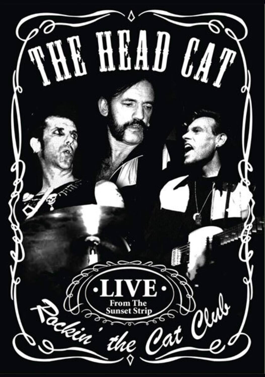 Rockin' The Cat Club - DVD