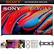 SONY AUTHORIZED DEALER.
SONY BRAVIA 9 Mini LED
DAILY BUZZ
FLIXFLING
Grokker TV
PLEX TV
STREAM SMARTER