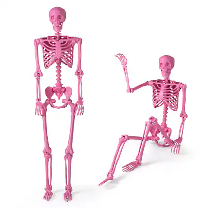 Front. Costway - Costway 5.5 FT Poseable Halloween Skeleton Life-Size Decoration with Movable Joints - Pink.