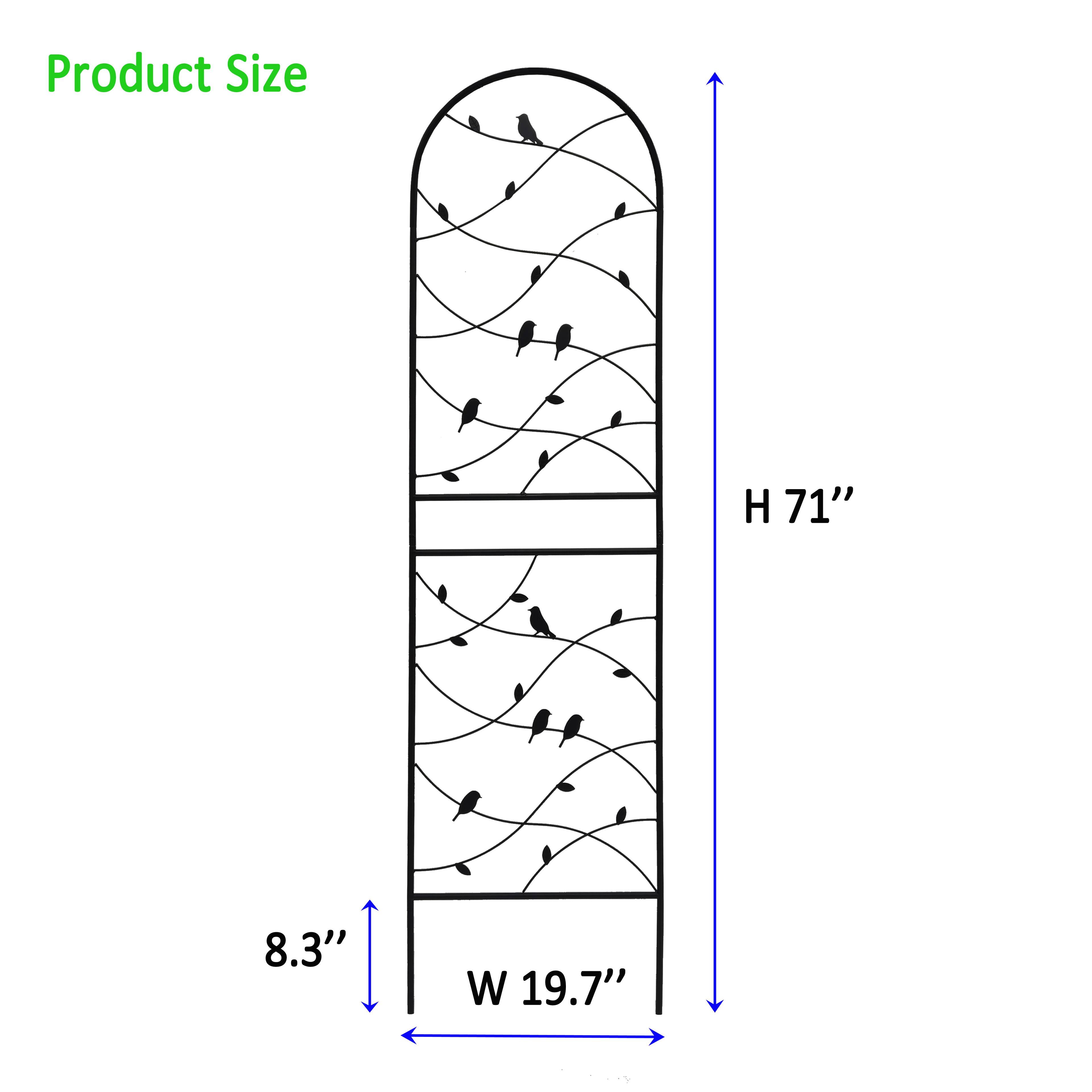 Product Size  
H 71"  
W 19.7"  
8.3"