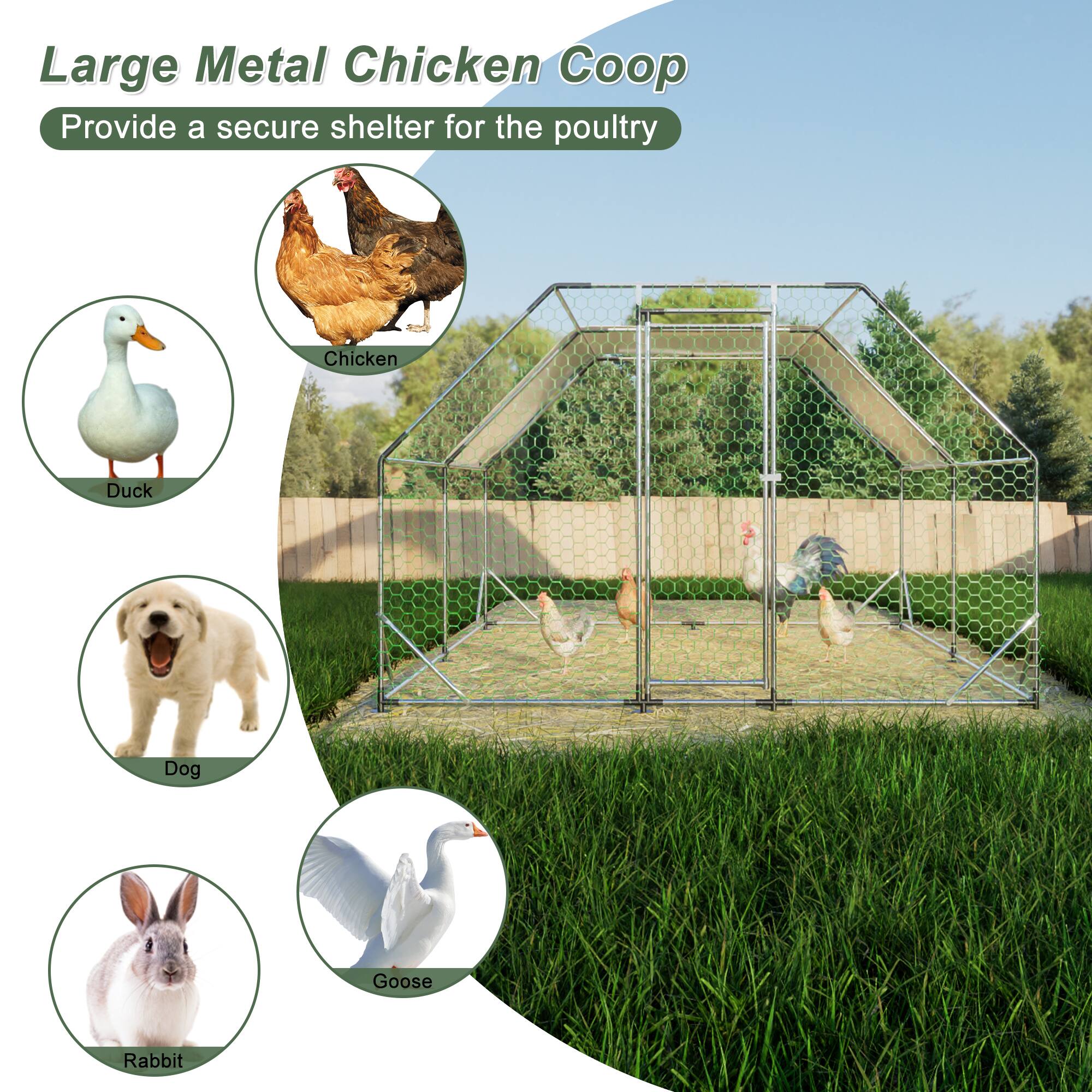 Large Metal Chicken Coop  
Provide a secure shelter for the poultry  

- Chicken  
- Duck  
- Dog  
- Goose  
- Rabbit