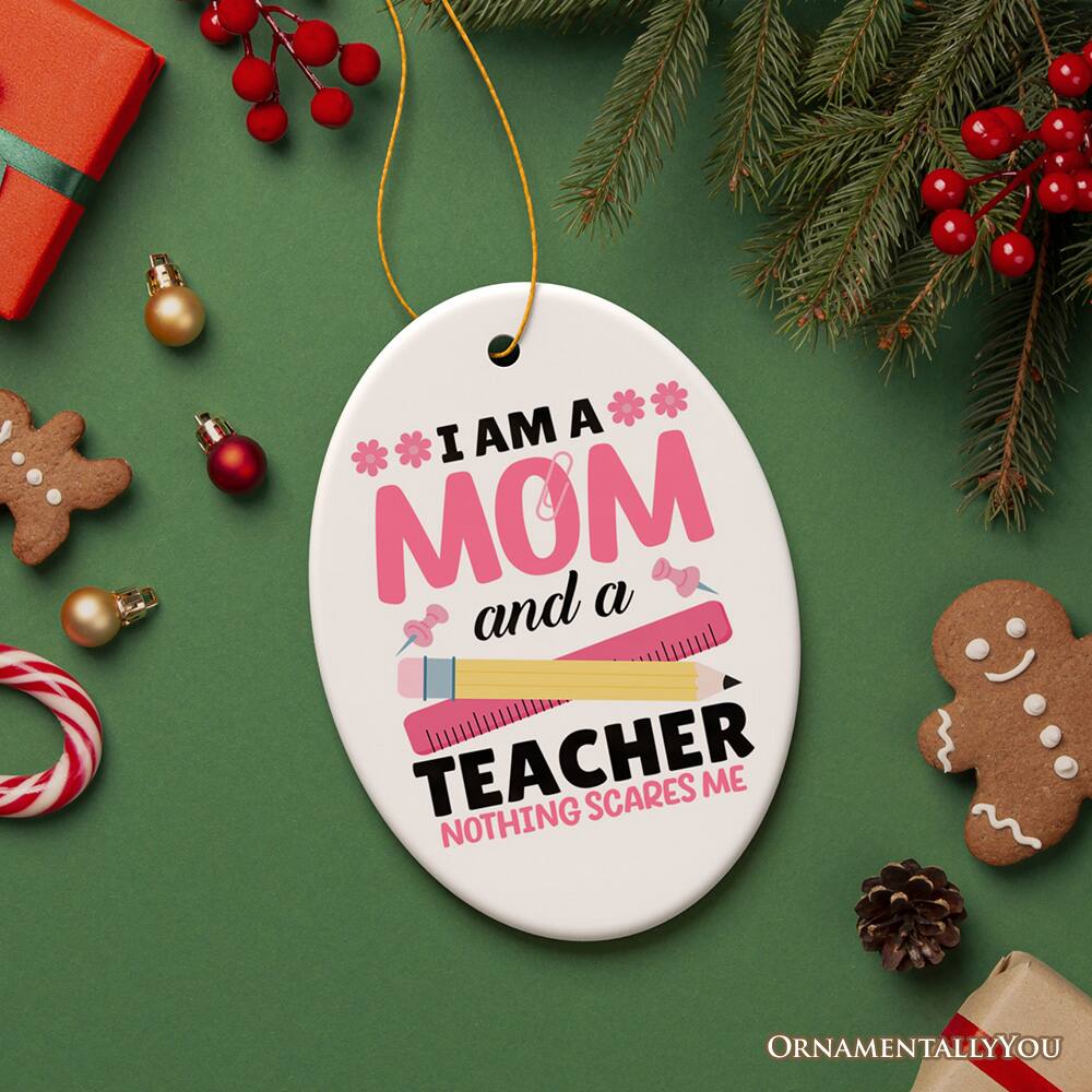 I AM A MOM and a TEACHER NOTHING SCARES ME
