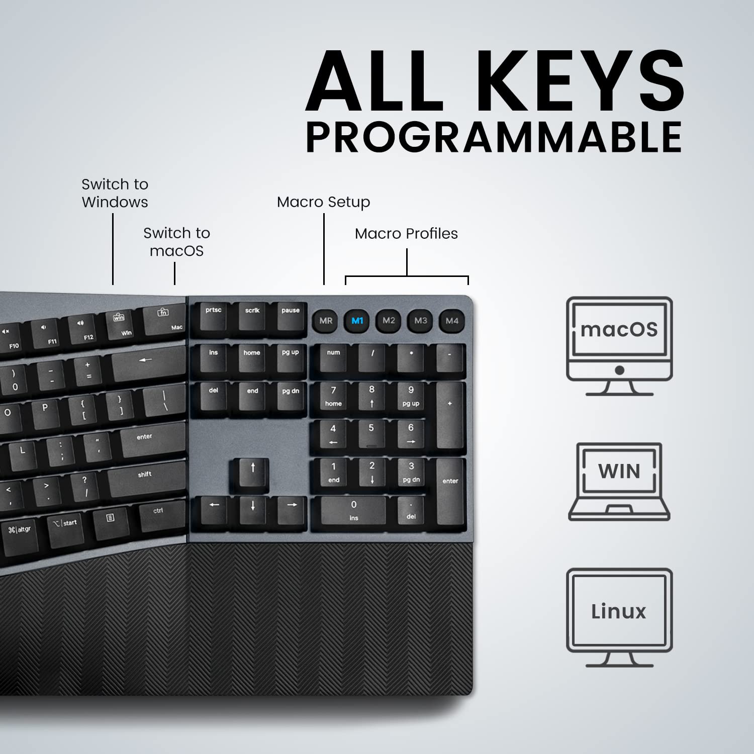 ALL KEYS PROGRAMMABLE

Switch to Windows  
Switch to macOS  
Macro Setup  
Macro Profiles

M1 M2 M3 M4

macOS  
WIN  
Linux
