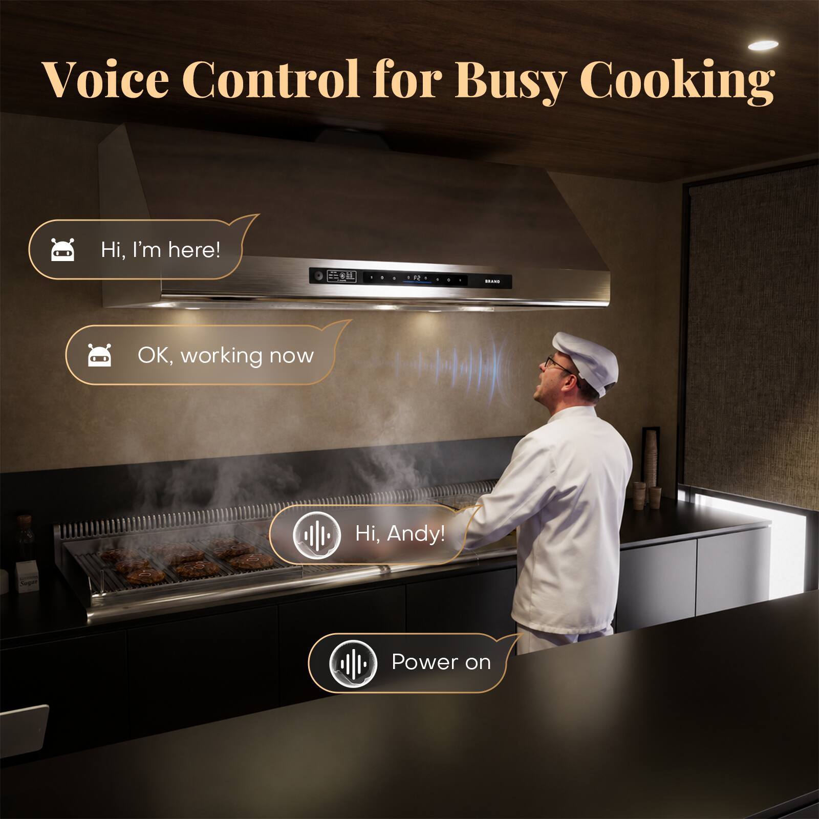 Voice Control for Busy Cooking

Hi, I'm here!  
OK, working now  
Hi, Andy!  
Power on