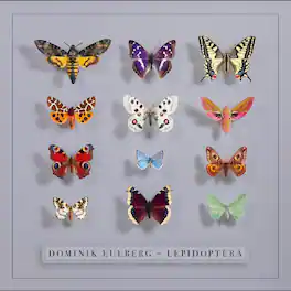 Dominik Eulberg - Lepidoptera - VINYL LP