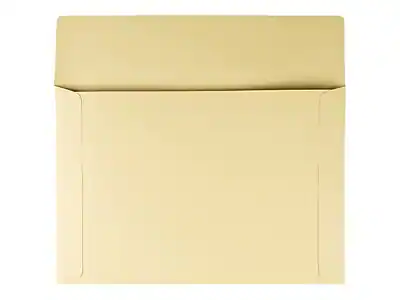 Quality Park Open End Document Envelopes, 10