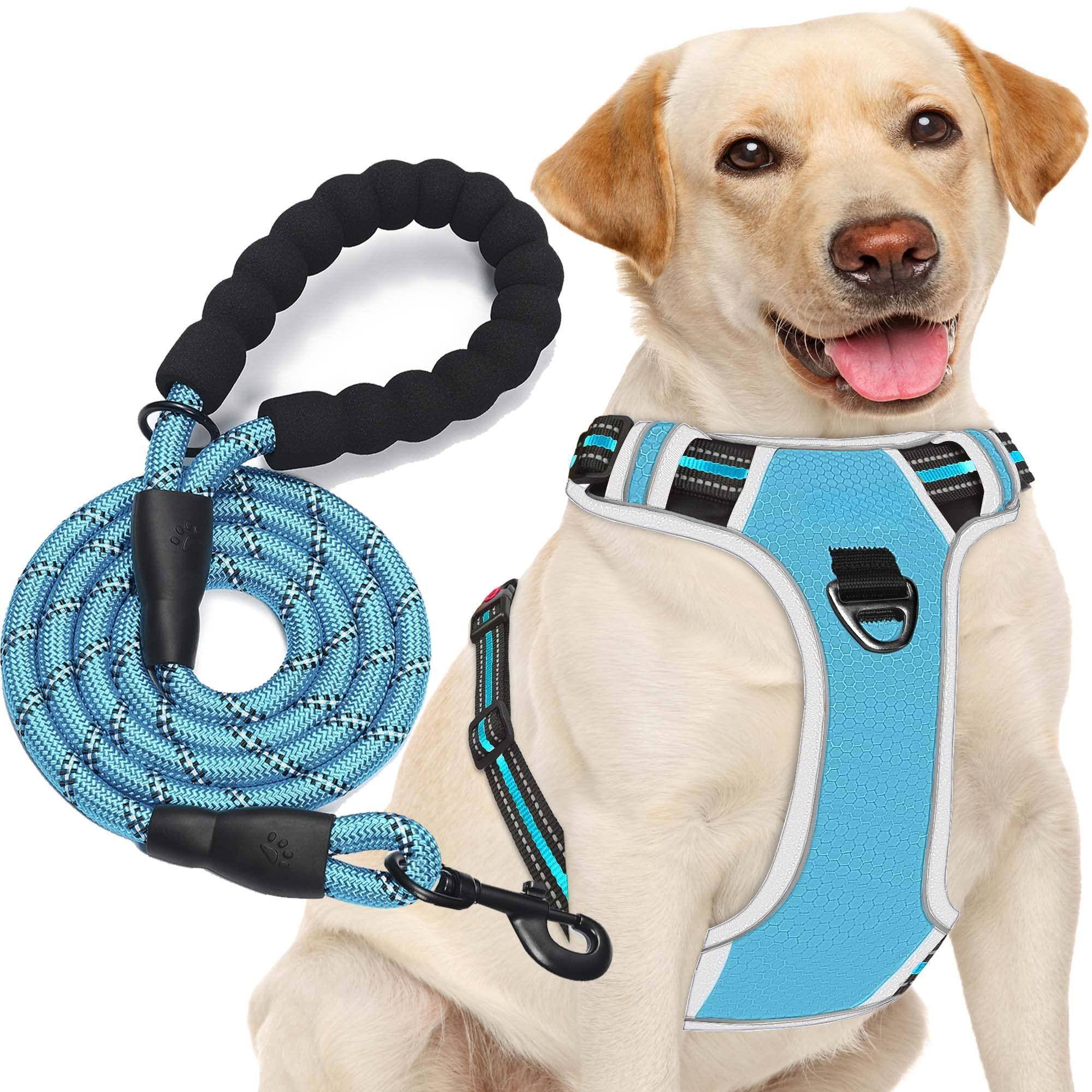 Blue/Grey Harness+Leash-Large