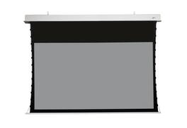 Elite Screens - Evanesce Tab-Tension B CineGrey 5D 106" Electric Ceiling Recessed Projector Screen - White