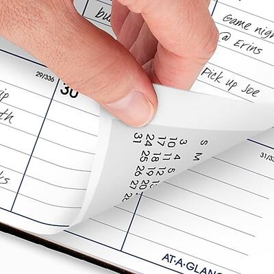 Sure, here is the corrected and grouped text:

**Top Left:**
- 29/336

**Top Center:**
- 30

**Top Right:**
- Game night @ Erin's

**Middle Left:**
- Pick up Joe

**Middle Center:**
- 31 24 17 10 3
- 25 18 11 4
- 26 19 12 5
- 27 20 13 6

**Middle Right:**
- 31/35
- 26 19 12 5 22
- 25 26 27 22

**Bottom:**
- AT-AGLANCE