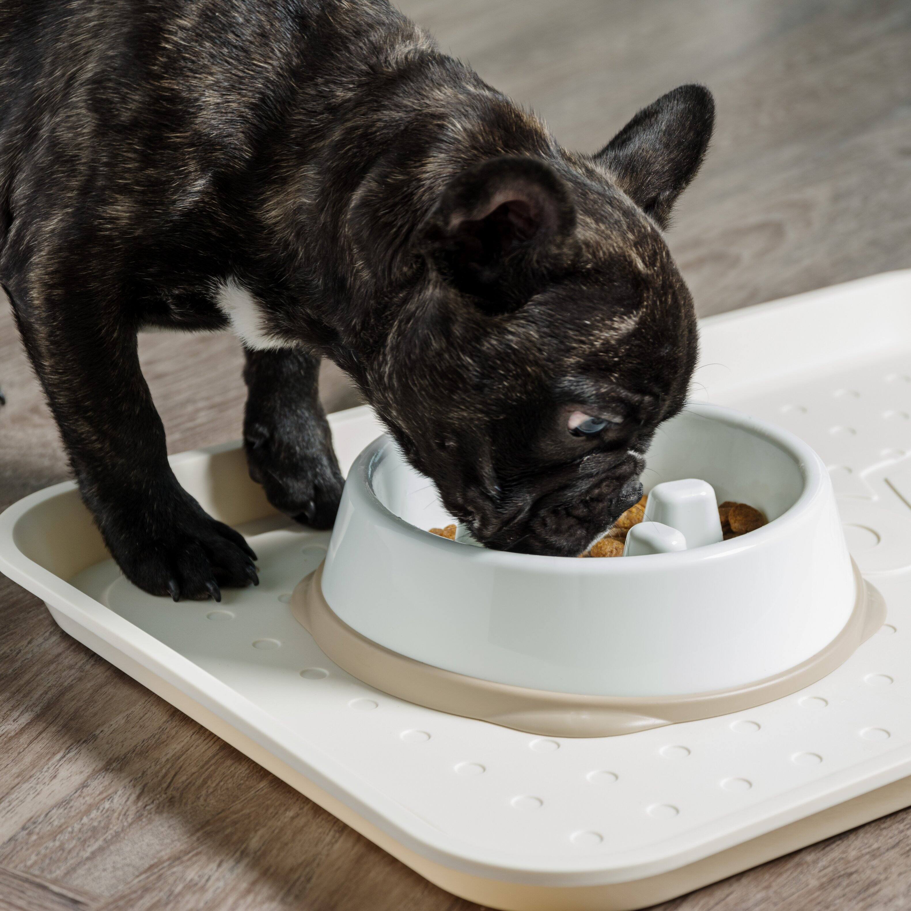 Alt View 2. IRIS USA - IRIS USA 2Cup/4Cup Slow Feeder Dog Bowl for Pets - White/Beige.