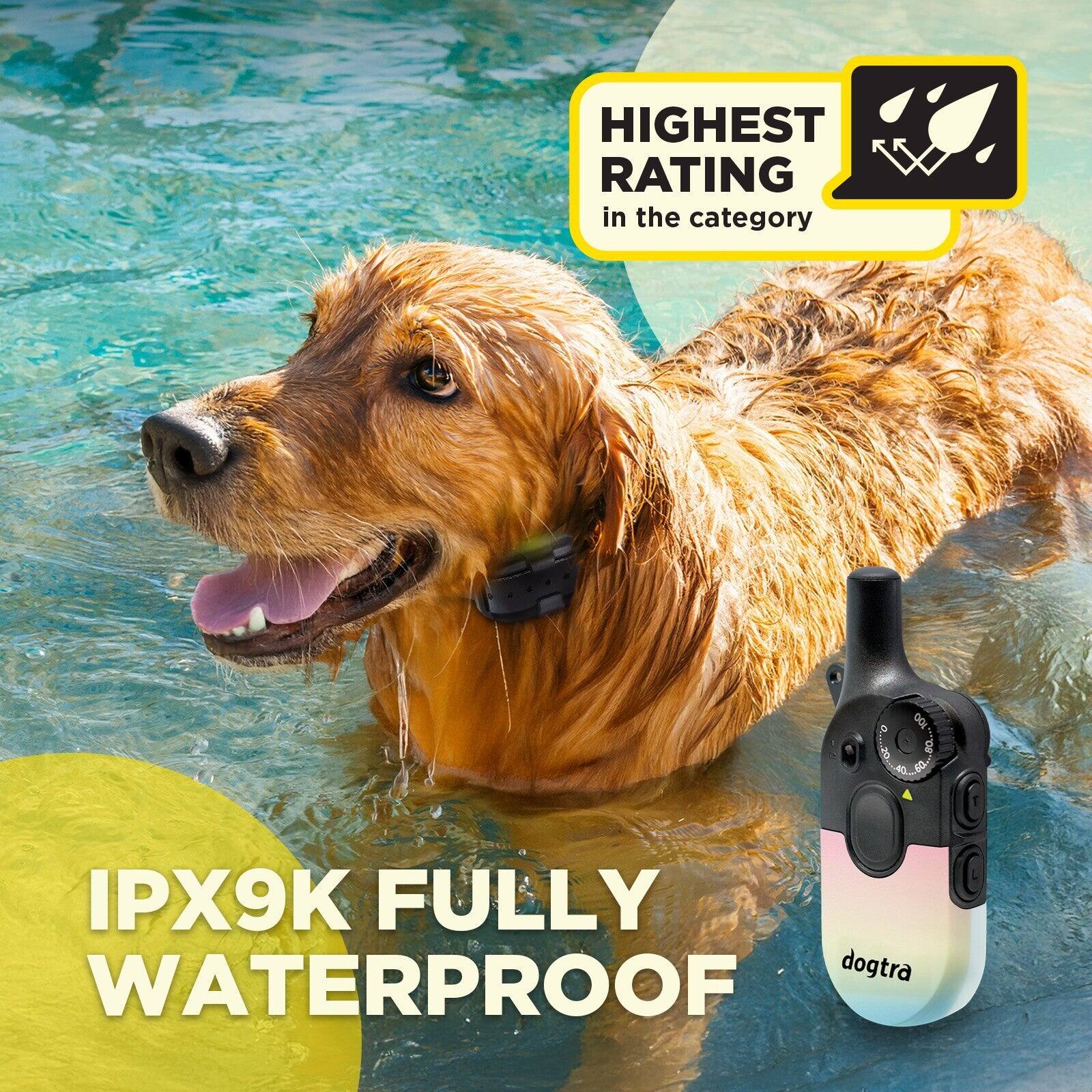 HIGHEST RATING in the category

IPX9K FULLY WATERPROOF

dogtra