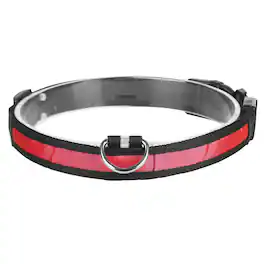 DirectDeals - LED Dog Collar – USB Rechargeable Safety Light - Red