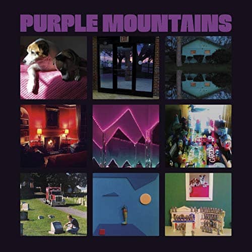 Purple Mountains [LP] - VINYL