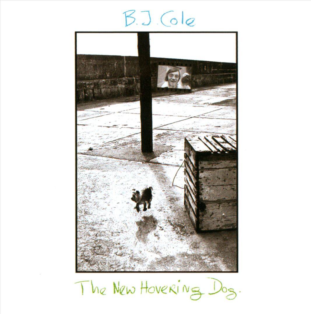 Front. The New Hovering Dog [LP].