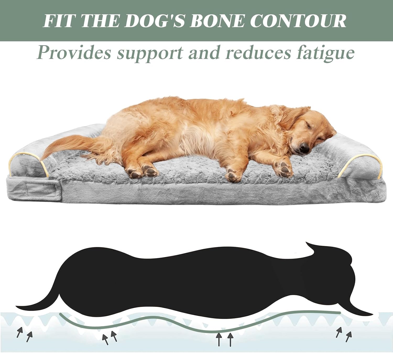 FIT THE DOG'S BONE CONTOUR
Provides support and reduces fatigue