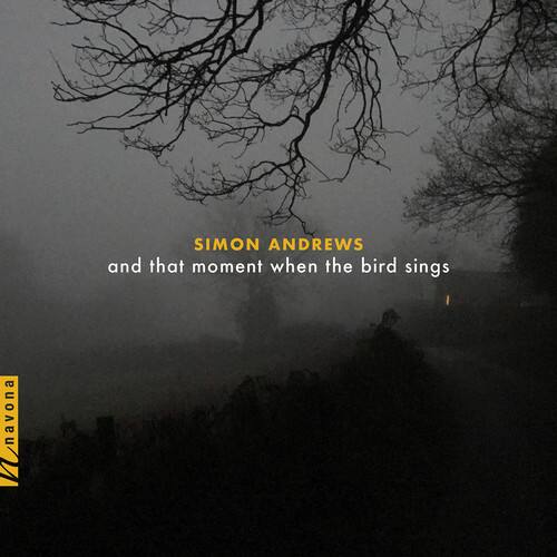 SIMON ANDREWS  
and that moment when the bird sings  

Navona