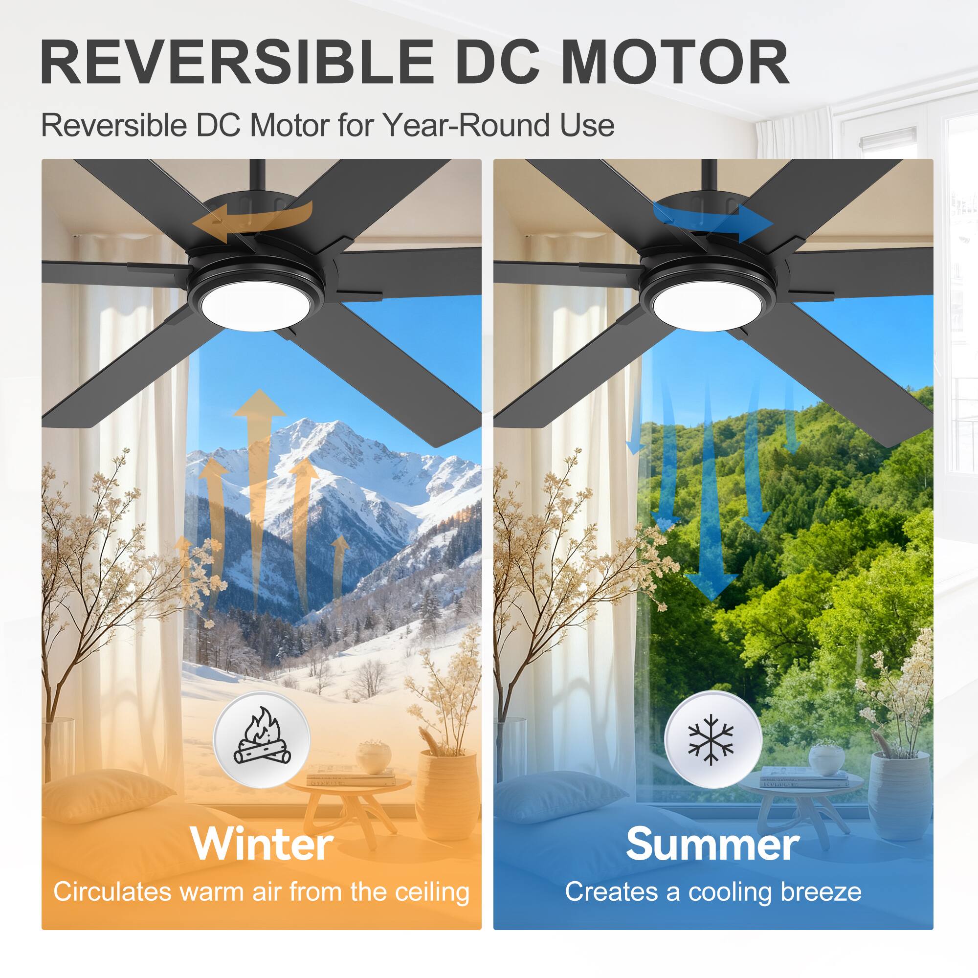 REVERSIBLE DC MOTOR  
Reversible DC Motor for Year-Round Use  
Winter: Circulates warm air from the ceiling  
Summer: Creates a cooling breeze