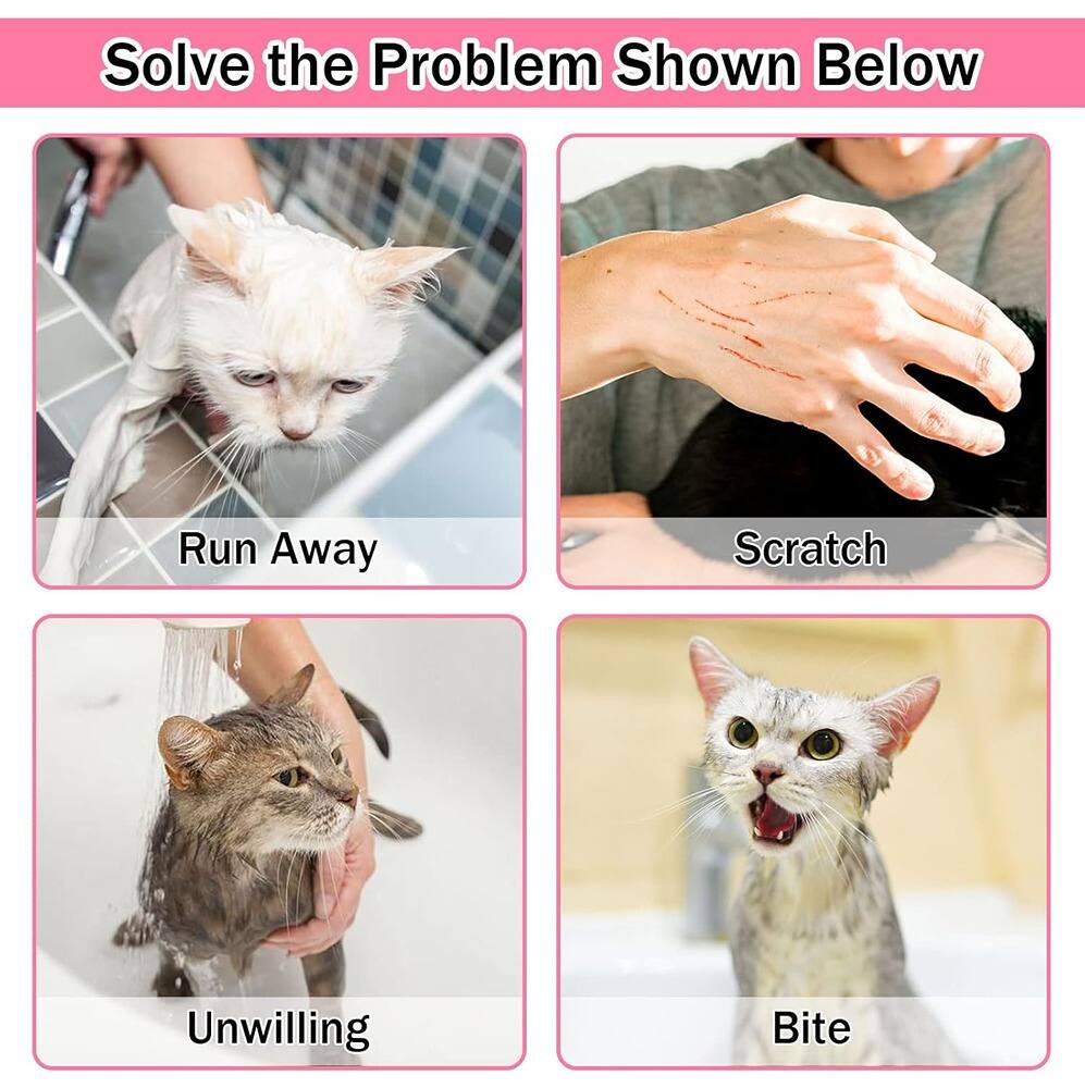 Sure, here is the corrected and grouped text from the image:

---

**Solve the Problem Shown Below**

- Run Away
- Scratch
- Unwilling
- Bite

---