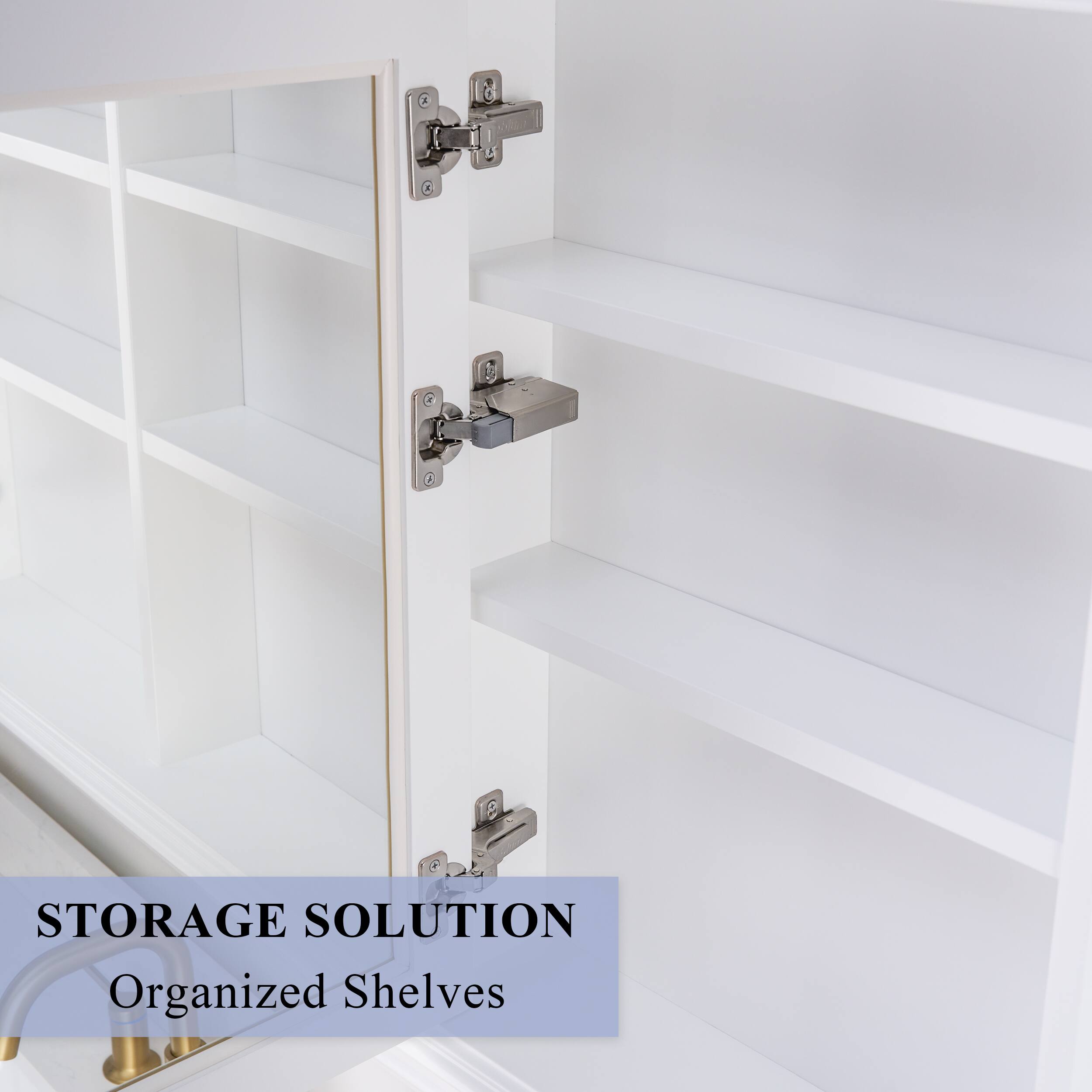 STORAGE SOLUTION  
Organized Shelves