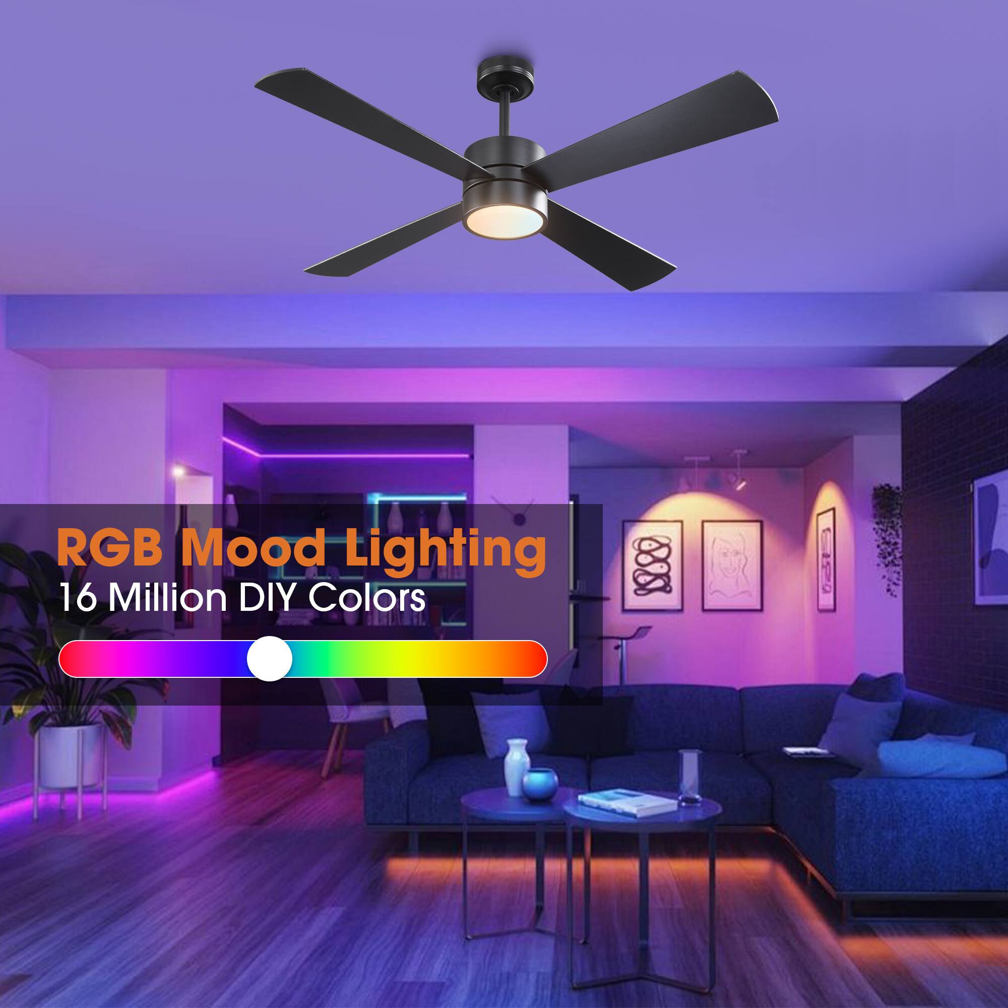 RGB Mood Lighting  
16 Million DIY Colors