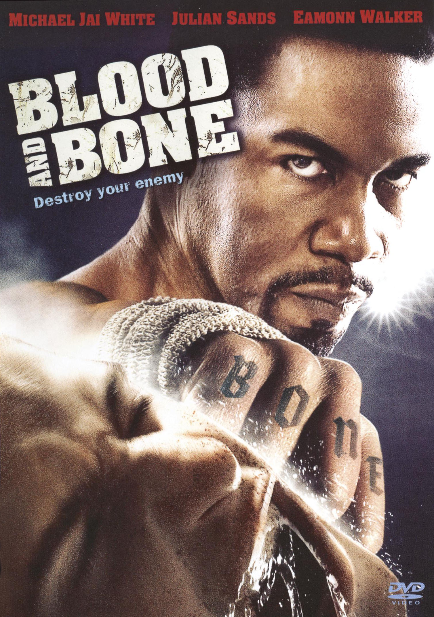Blood and Bone [DVD] [2008]