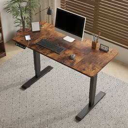 Chateau Abodes - 55" Electric Standing Desk with Adjustable Height, Real Wood Top & USB/LED, 4 Memory Buttons - Brown Leopard