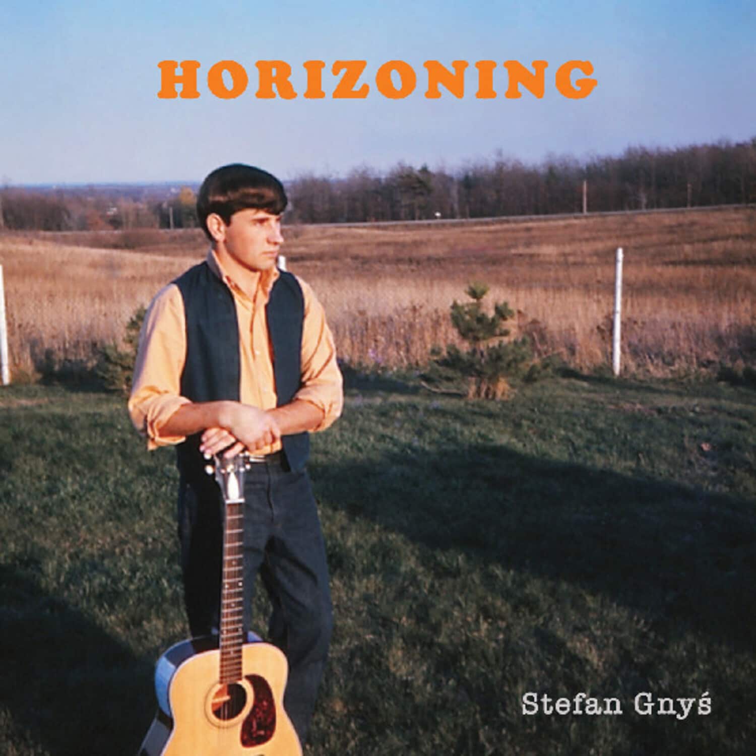 Stefan Gnys - Horizoning   - VINYL LP price history on PriceWatchPro