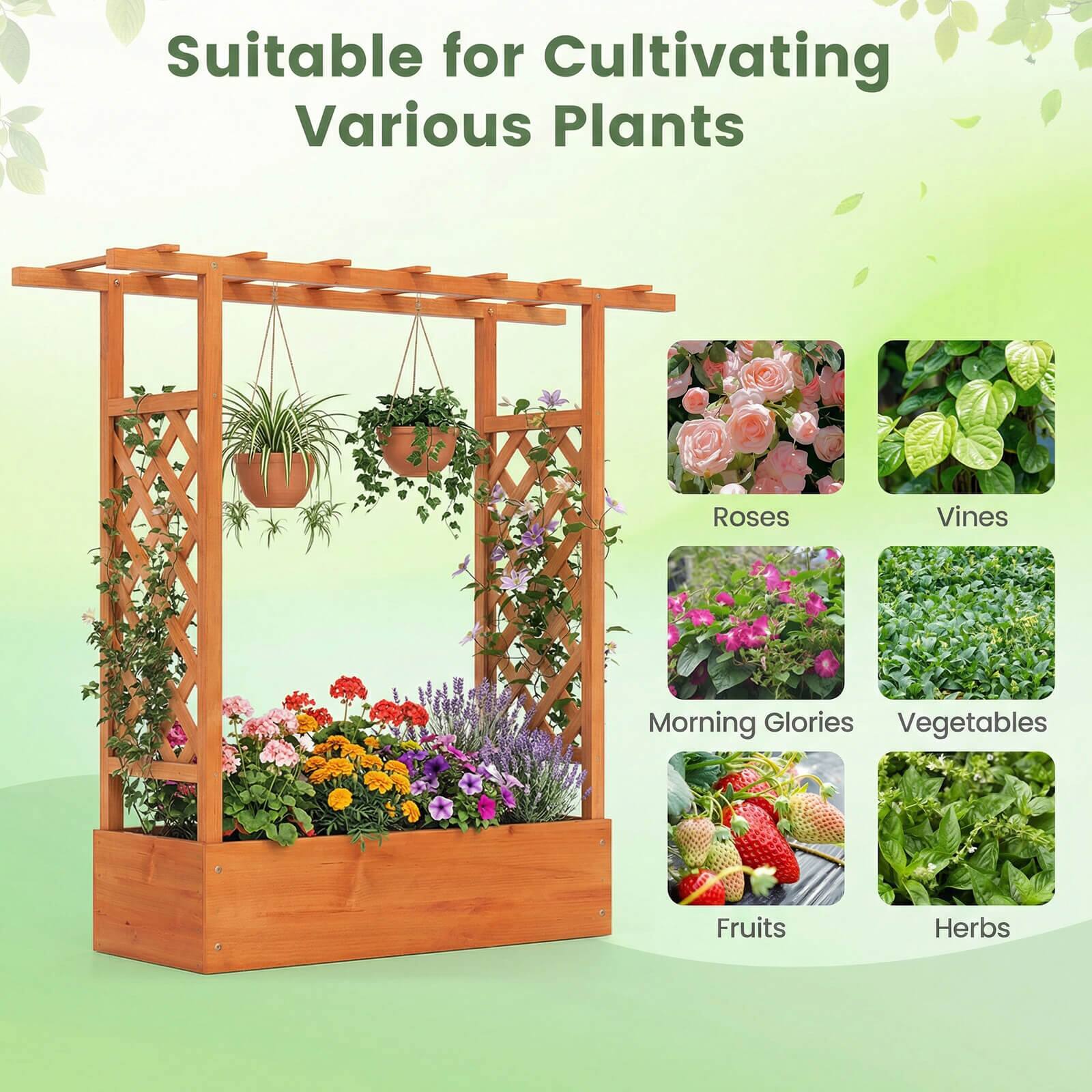 Suitable for Cultivating Various Plants

- Roses
- Vines
- Morning Glories
- Vegetables
- Fruits
- Herbs