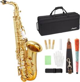Homhougo - Professional Eb Alto Saxophone Kit with Hard Case, Mouthpiece & Cleaning Accessories - Gold
