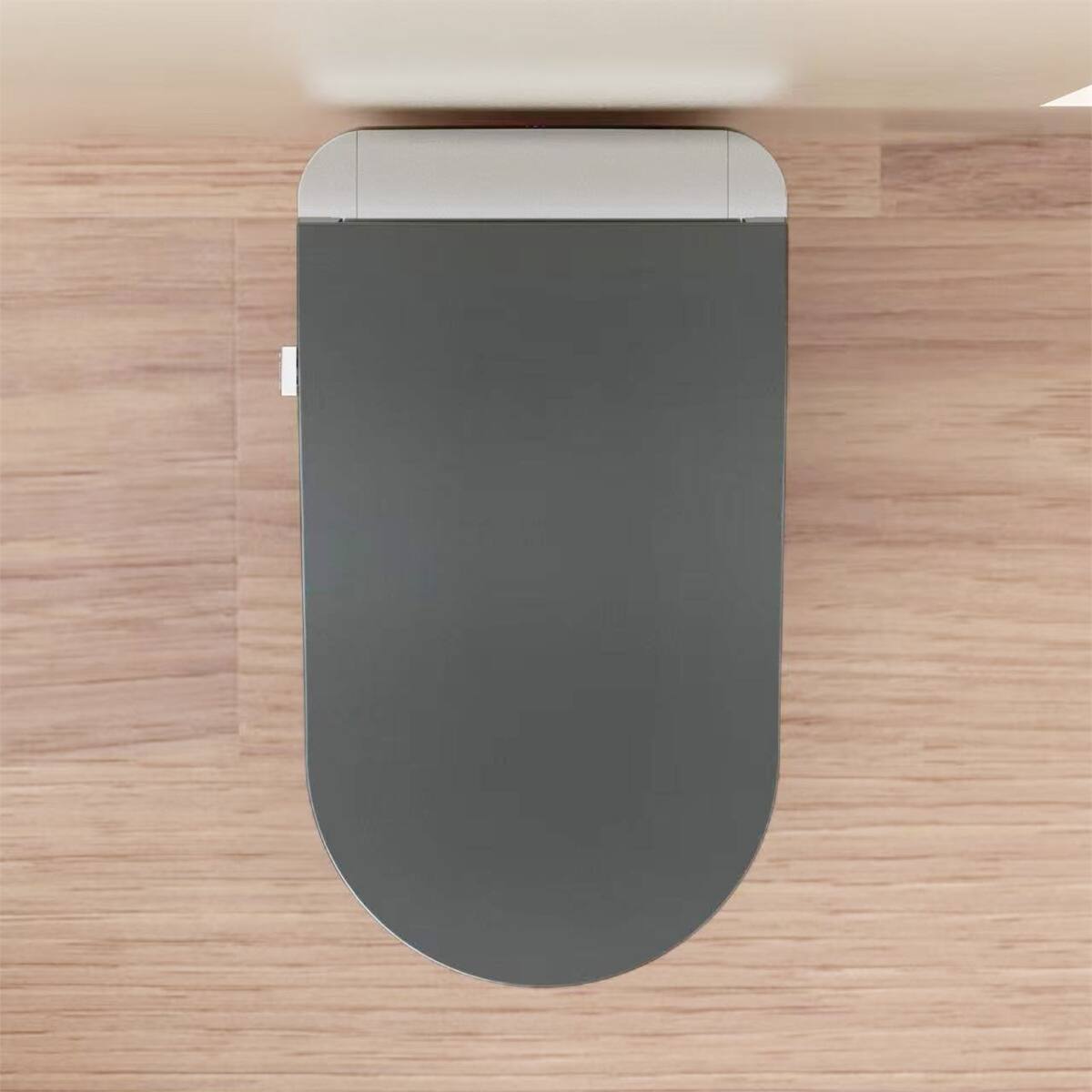 Back. Loheer - Loheer Tankless Smart Toilet With Bidet, Automatic Flush, Heated Seat and Matte Gray Finish - Gray.