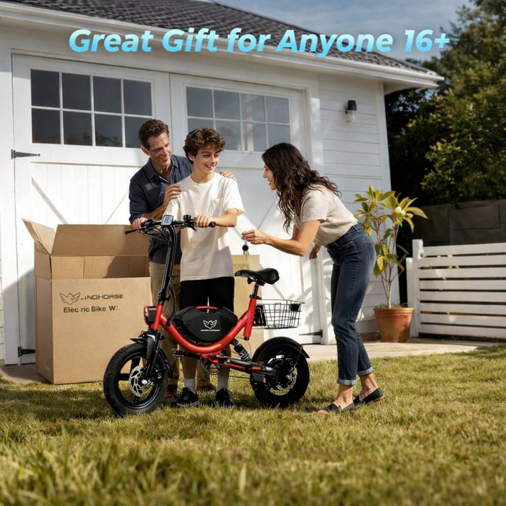 Great Gift for Anyone 16+  
INOHORSE Electric Bike