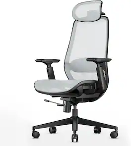 ProtoArc - EC200 Pro Ergonomic Mesh Office Chair for Remote Work - Gray