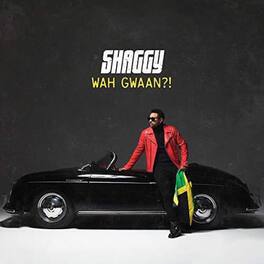 Shaggy - Wah Gwaan - VINYL LP