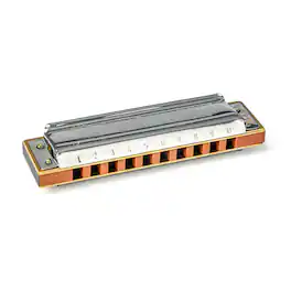 Hohner - Sonny Terry Heritage Edition Diatonic Harmonica